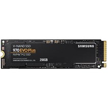 삼성 970 EVO 플러스 SSD NVMe M.2 인터널 SSD (250GB~2TB) MZ-V7S2T0B AM, 250GB, 250GB