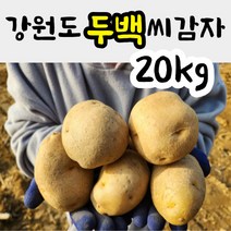 강원도 씨감자 두백 (쪄먹는용/튀김용) 20kg 분감자 감자씨 감자종자, 두백씨감자 20kg