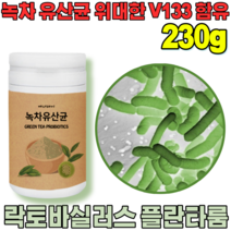 꼼꼼한 검수 통과한 자연이 주는 선물 락토 바실러스 플란 타룸 녹차 유산균 프락토 올리고당 위대한 V 133 녹자 우산균 위산균 유신균 프로바이오틱 가루 파우더 분말 파는곳 추천, 1
