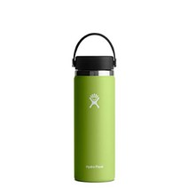 HYDRO FLASK - 하이드로 플라스크 텀블러 물병 플렉스 캡이 있는 하이드로 플라스크 와이드 입 병, 해초, 20온스