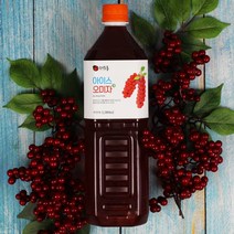 아이스 문경오미자청 1000mlX1개, 선택01_아이스오미자청 1000ml X 1개, 1개, 1000ml