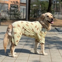 대형견 올인원 내복 중형견옷 소형견옷 진돗개옷 강아지 실내복 곰돌이, 옐로