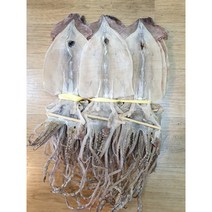 당일바리 마른오징어 5마리 ( 250g )