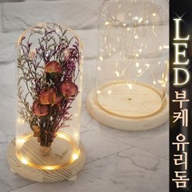 태양무역 LED유리돔 부케말리기 부케꽃선물 와이어 유리돔 무드등 드라이플라워 장식, 유리돔-매립형(스위치)M