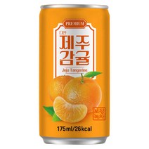 다인 제주감귤 175ml x 30캔, 쿠팡 1, 1