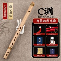 단소 퉁소 초심자 집콕 생활 취미 악기 대금 연습용, 논멤브레인홀미니무지플룻[C키]+선물세트