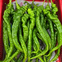 금성식품 중국식품 골뱅이고추 중국야채 뤄쓰쬬 중국고추 중간매운맛 400g, 1개