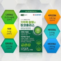 은행잎추출물 기억력 개선 혈행개선 도움 징코 혈행건강 개선 두뇌 건강 습관 나이아신 아연 판토텐산, 2개 120캡슐