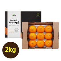 [산지애]제주 햇 천혜향 (2kg), 단품