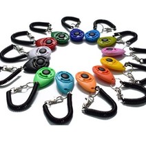 CLICKER PRO 클리커프로 반려동물 행동 교정 트레이닝 애견훈련용품, 1개, 에메랄드그린