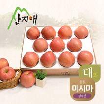 [산지애] 알뜰사과 미시마(대과) 4kg(11~16과), 단품