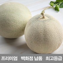 당도 함께 영화청과 국내산 멜론 4kg 프리미엄 백화점 남품 스윗 달콤맛있는