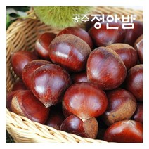 23년산 공주밤 정안 알밤 햇밤 2kg(대품/개당20g내외) 푸드마인, 1개