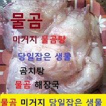 (쌍다리상회) 물곰 물곰치 1-3마리 토막손질 5-10분, 2kg내외, 1개