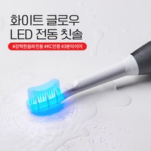 덴티럽 LED 전동칫솔, 2개
