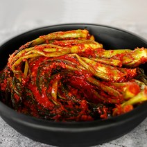 [땅끝홈밀]해남직배송 프리미엄 갓김치 5kg, 단품