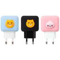 카카오프렌즈 KF 고속충전기 QC3.0, 라이언블랙