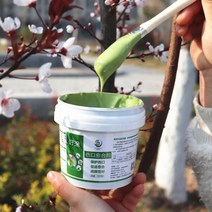 톱신페스트 나무 상처 치유 크림 보호제 치료제 식물, 센유 힐링 에이전트 500g, 1개