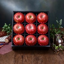 [당일배송/정성포장]명품 사과 세트[사과9과 3.5kg내외] 과일선물세트 기념일