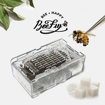 비플라이 건강한 꿀벌 벌침 벌침벌 봉침 봉침벌 벌침용벌 먹이 서비스, 1통, 100~120마리