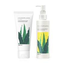 청미정 약알칼리성 알로에 순한 클렌징 폼 오일 세트, 청미정 알로에 클렌징 오일&폼 2종세트