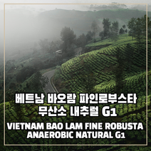 (커피생두) 109 베트남 바오람 파인로부스타 무산소 내추럴 G1 1kg, 1개