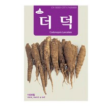청농 더덕씨앗 1500립, 단품