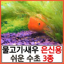 수초하우스) 물고기 새우 은신용 쉬운 수초 3종 세트, 싸게더많이(로탈라홍콩20+자이언트암브6+레드밀리오10)