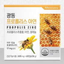 광동 프로폴리스 아연c 비염 영양제 비염에좋은 약 만성 몸속 염증 제거 목에좋은 알약, 60정(2개월분)