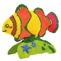 컬러룬 볼클레이 물고기 크라운피쉬, 5개