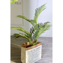 생화같은 조화 정원 장식 네츄럴 인조 화분 바구니 식물 나무 야자수 인테리어 종려죽, 80센티 샤위콰이 배지봉투