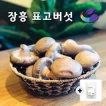 [일주일만! 건표고 증정] (못난이 파지 파치 등외 장흥표고) 장흥 생표고버섯 파지4kg + 건표고_채_50g증정 P, 1박스, 2kg + 건표고_채_50g증정