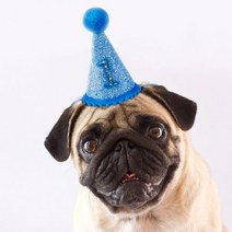 왕관 PET 고양이 고깔 파티 모자 강아지 생일, 02생일모자-고깔-블루