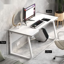 코스토프 조립식 게이밍 컴퓨터 책상 1인용 원룸용 좁은방 철 책상, 120x60 화이트 프레임+화이트