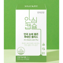 안국건강 NEW 눈에좋은 루테인 플러스, 총 2통, 1통당 30g (500mg × 60캡슐), 2개, 1통당 30g (500mg × 60캡슐)