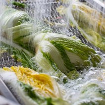 국산 삶은 배추우거지 10kg 냉동우거지 대용량업소용, 1개