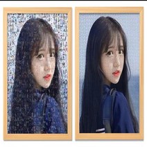 1:1 맞춤형 주문제작 퍼즐 모자이크 이중 그림 퍼즐 치매예방, 모자이크 500피스