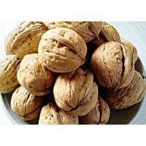 [효자골]햇호두 국산 알호두 1kg (신품종 특 65~70알), 1kg 신품종 특 65~70알, 1개