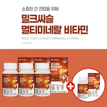 지방간 간 리버 해독 케어 건강 관리 도움 개선 에 좋은 알코올성 비알코올성 밀크씨슬 멀티 비타민 먹는 복합 영양제 중년 장년 남성 신리마린, [3+1] 1년분