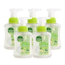 데톨 포밍 핸드워시 애플블로썸 본품 250ml * 5개
