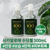 데이랑스 시카알로에 수딩젤 500ml, 1개, 1개
