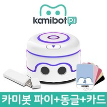 카미봇 파이 AI (동글+카미카드 포함), 단품