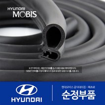 아이오닉 전기차 순정 웨더스트립 고무몰딩, 앞문(운전석)