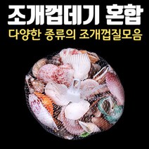 조개껍질혼합 조개껍데기 소라 불가사리 조개껍질 가리비
