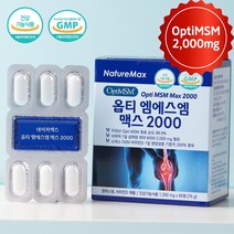 관절 연골엔 옵티MSM 호관원 프리미엄 보궁 옵티머스트 천관보 대체, 1박스, 1개