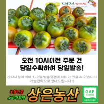 농협인증 상위1% 오리지널 대저 짭짤이 토마토 2.5kg 최상의 맛, 특 S  2.5kg(프리미엄