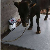 대형 축산용 저울 전자저울 가축 계근대 정밀 소 돼지, 상세 페이지 참고, 1x1m / 0-3톤 / 강판 5mm