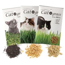캣그라스 꿈쟁이 고양이 헤어볼 소화 촉진 씨앗-3종, 1개, ICanShop™ 캣닢 씨앗_ICS™