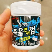 롯데 졸음번쩍껌 파워 용기 80g