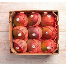 [항공직송] 페루 애플망고 프리미엄 애플망고 고당도 애플망고 4kg 망고 선물세트 항공직송, 페루 애플망고 4kg, 1개